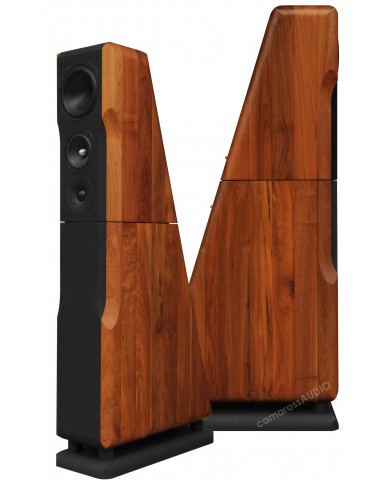 Chario Constellation Ursa Major ( Walnut )