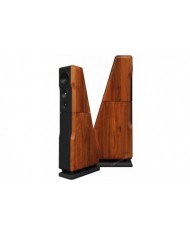 Chario Constellation Ursa Major ( Walnut )