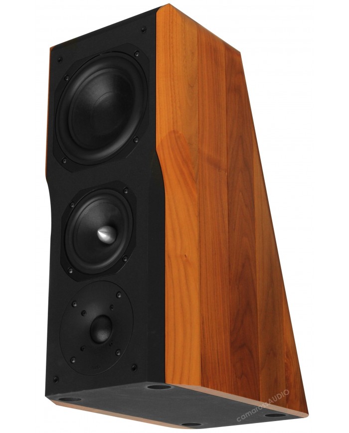 Chario Constellation Ursa Major ( Walnut )