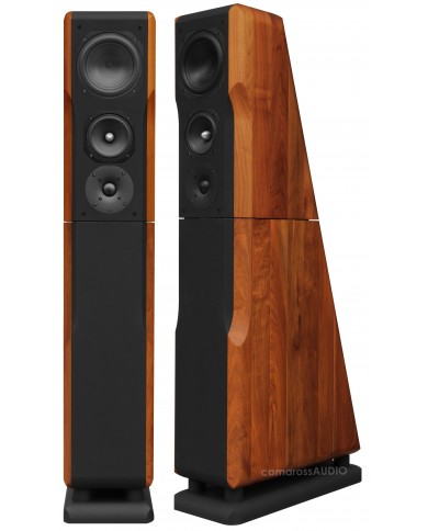 Chario Constellation Ursa Major ( Walnut )