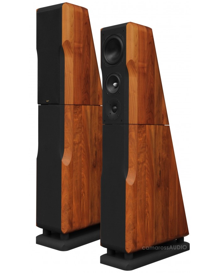 Chario Constellation Ursa Major ( Walnut )