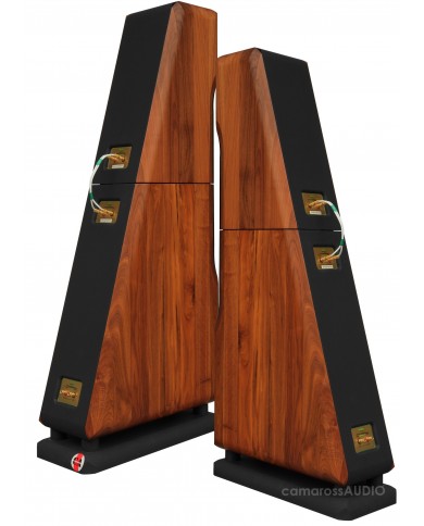 Chario Constellation Ursa Major ( Walnut )