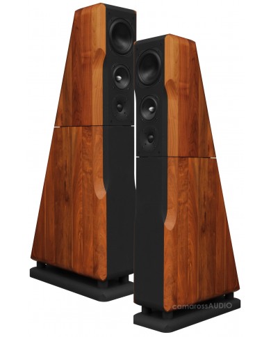 Chario Constellation Ursa Major ( Walnut )