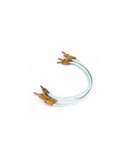 Chario Constellation Ursa Major ( Walnut )