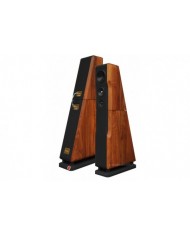 Chario Constellation Ursa Major ( Walnut )