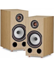 TRIANGLE 40TH ANNIVERSARY COMETE