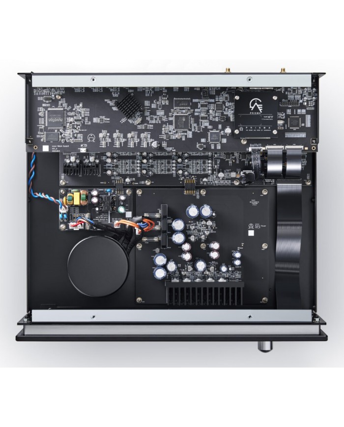 Primare SP25 Prisma Primare SP25 Prisma