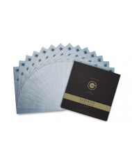 Goldring Exstatic Record Sleeve