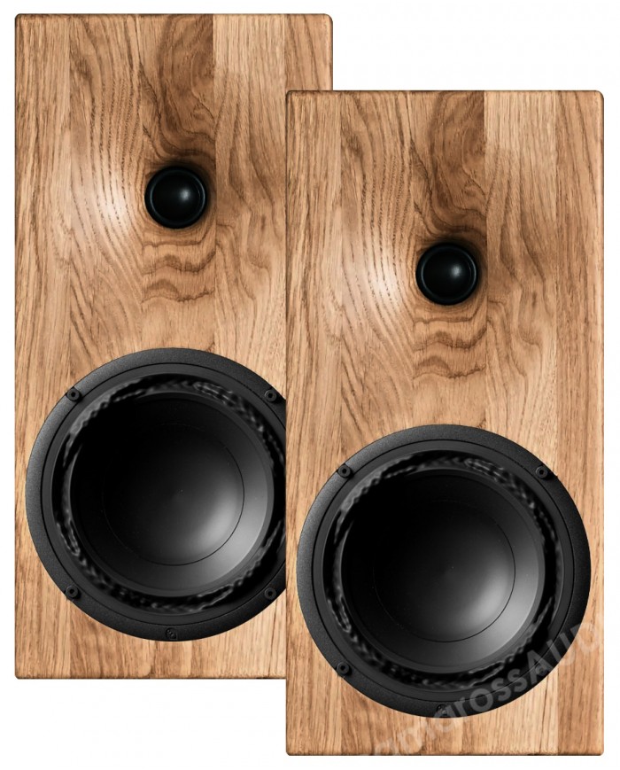 Buchardt Audio E50