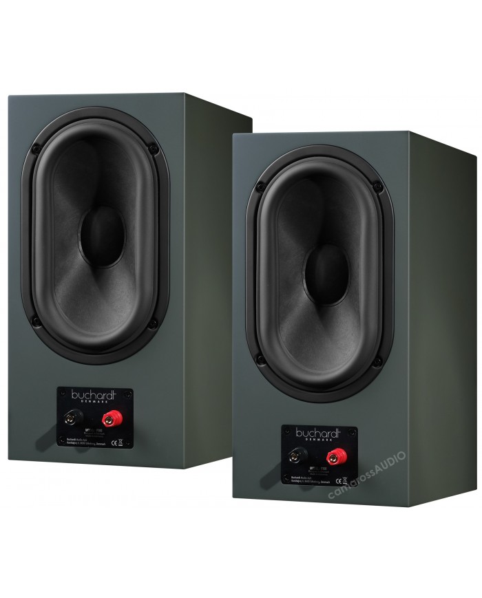 Buchardt Audio P300