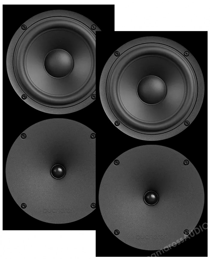 Buchardt Audio P300