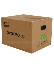 Eversolo  AMP-F10 box