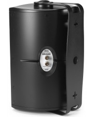 Definitive Technology AW6500 Outdoor Speaker (White)