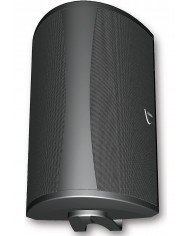 Definitive Technology AW6500 Outdoor Speaker (White)