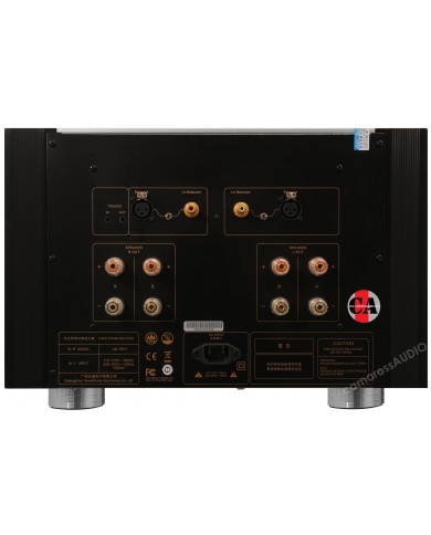 Tonewinner AD-1PRE+, Tonewinner AD-1PA+