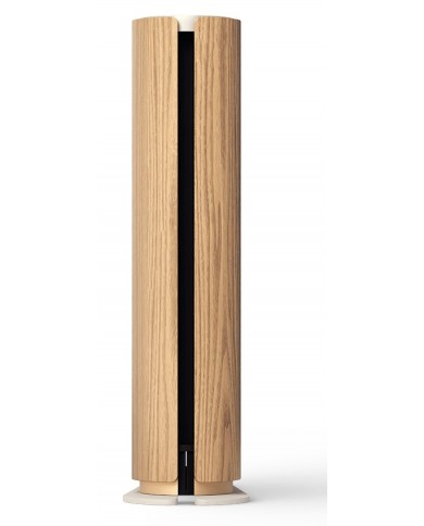 Bang & Olufsen Beosound Emerge