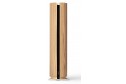 Bang & Olufsen Beosound Emerge