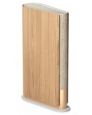 Bang & Olufsen Beosound Emerge