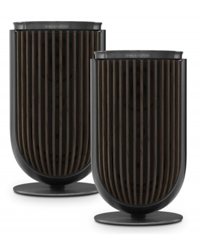 Bang & Olufsen Beolab 8