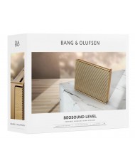 Bang & Olufsen Beosound Level