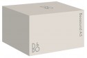Bang & Olufsen Beosound A5 BOX