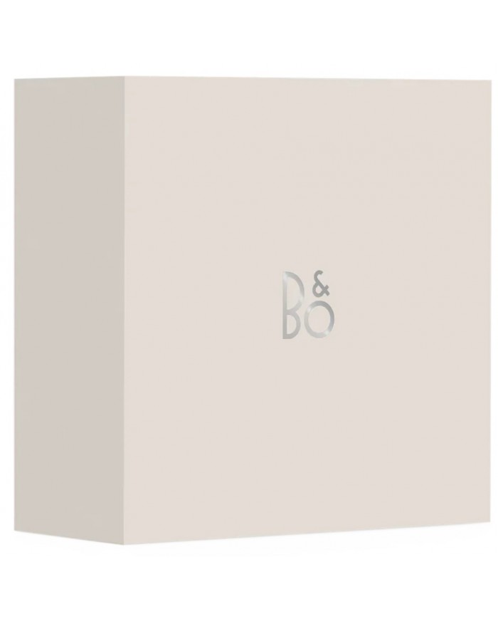 Bang & Olufsen A1 ( 3. Nesil )