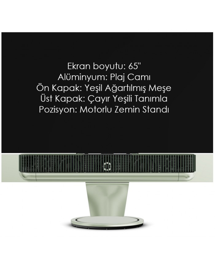 Bang & Olufsen Beovision Theatre Bang & Olufsen Beovision Theatre