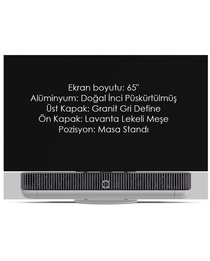 Bang & Olufsen Beovision Theatre Bang & Olufsen Beovision Theatre
