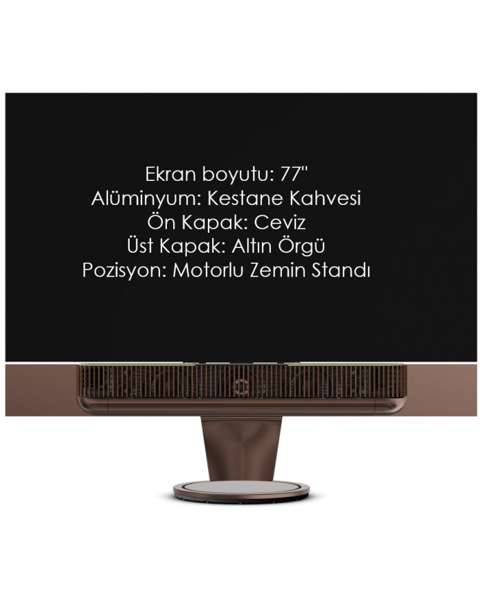 Bang & Olufsen Beovision Theatre Bang & Olufsen Beovision Theatre