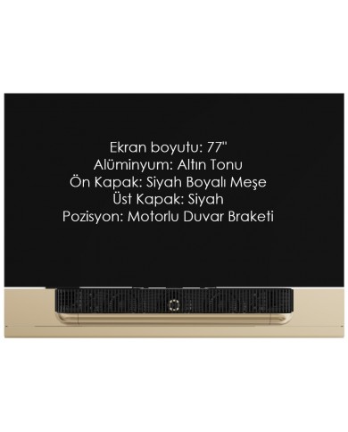 Bang & Olufsen Beovision Theatre