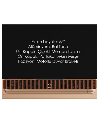 Bang & Olufsen Beovision Theatre