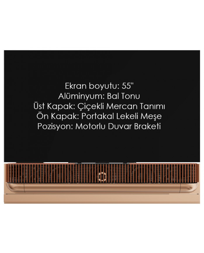 Bang & Olufsen Beovision Theatre Bang & Olufsen Beovision Theatre