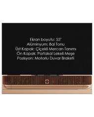 Bang & Olufsen Beovision Theatre Bang & Olufsen Beovision Theatre