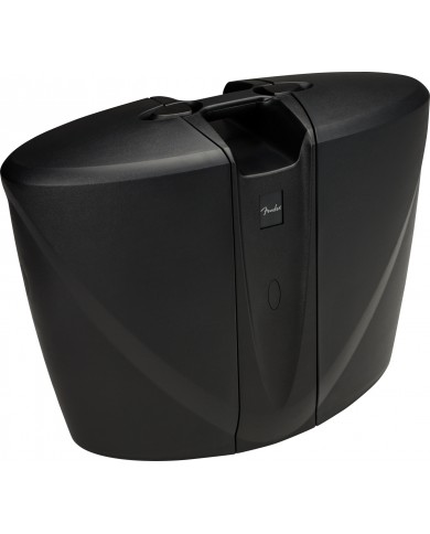 Fender Passport Venue Series 2