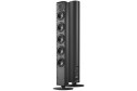 Piega Ace 50 Wireless