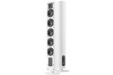 Piega Ace 50 Wireless