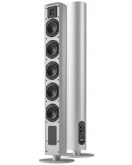 Piega Ace 50 Wireless