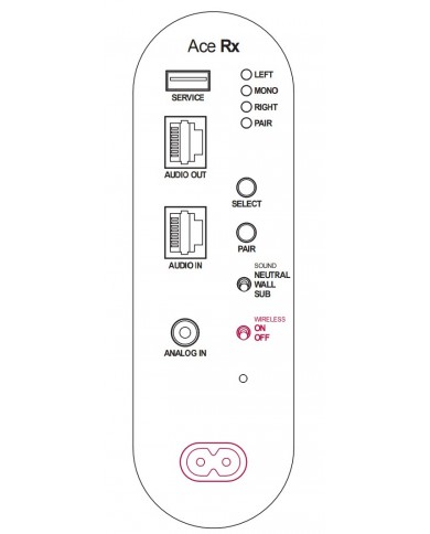 Piega Ace 50 Wireless