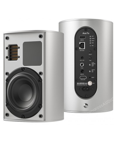 Piega Ace 30 Wireless