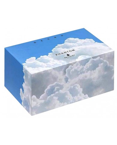 Devialet Gecko BOX Devialet Gecko BOX