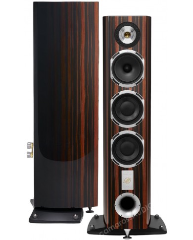 Triangle Magellan Cello Triangle Magellan Cello