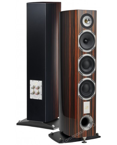 Triangle Magellan Cello Triangle Magellan Cello