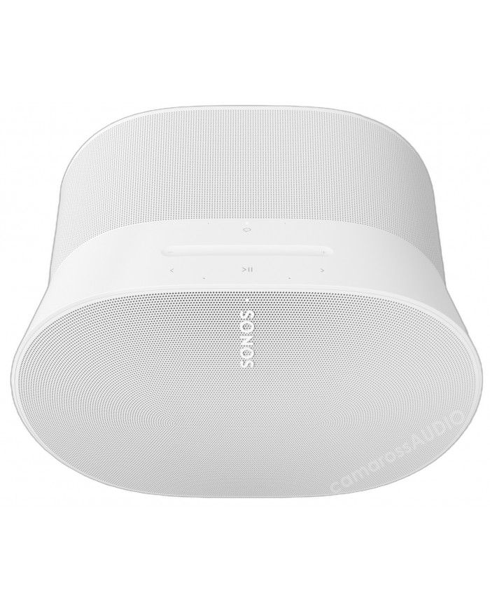 Sonos Era 300
