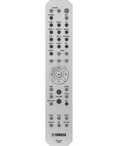 Yamaha RAX41