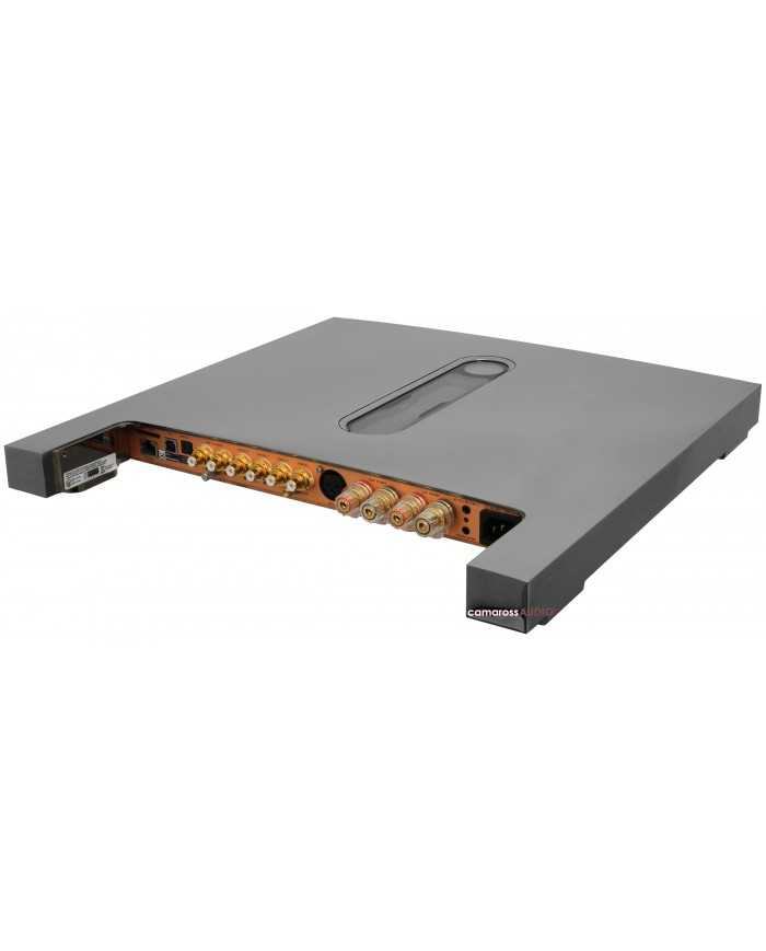 Devialet Expert 250 Pro amfi gri kasa, arka bağlantı portları ve altın RCA girişleri.