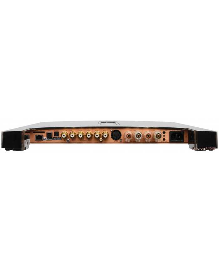 Devialet Expert 250 Pro amfi arka bağlantı noktaları, RCA ve XLR giriş çıkışları.
