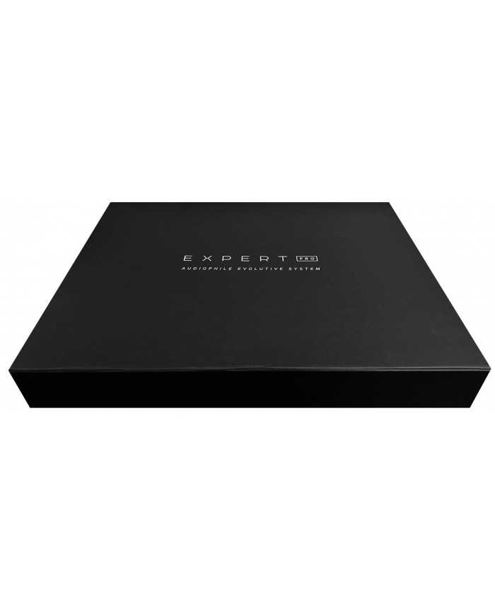 Devialet Expert 250 Pro Siyah Audiophile Amfi Kutusu