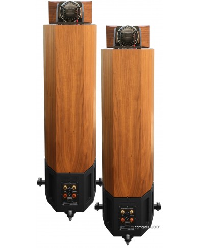 Blumenhofer Acoustics Corona 4x18 ahşap kaplama hoparlörler, üst düzey ses deneyimi.