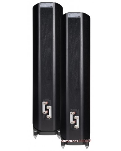 Wharfedale EVO 4.3 siyah hoparlör arkası, ses bağlantı terminalleri ve spike ayaklar.