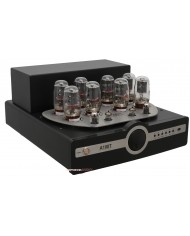 Synthesis Action A100T siyah tüplü amfi, görünür vakum tüpleri.